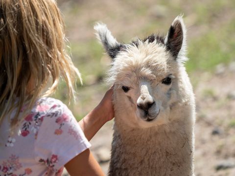 Serengeti Park - Nedersaksen - Afbeelding N°16