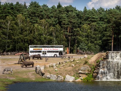 Serengeti Park - Nedersaksen - Afbeelding N°3