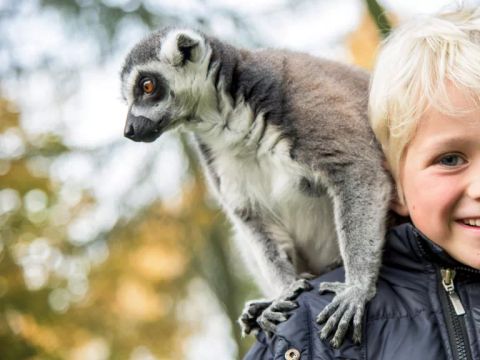 Serengeti Park - Nedersaksen - Afbeelding N°4