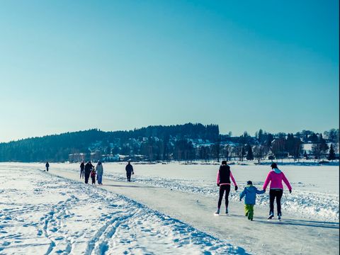 Landal Marina Lipno - Bohême-du-Sud - Afbeelding N°24