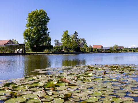 Vakantiepark De Groote Vliet - Medemblik - Afbeelding N°5