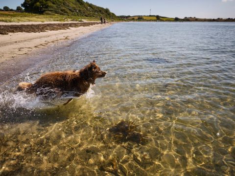 Vodatent Emmerbølle Strand Camping - Zuid-Denemarken - Afbeelding N°4