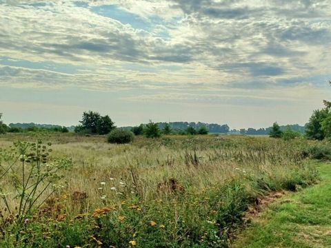 Vodatent Camping Hunze Bulten - Aa en Hunze - Afbeelding N°4