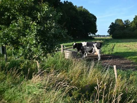 Vodatent Camping Hunze Bulten - Aa en Hunze - Afbeelding N°5