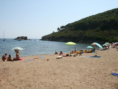 Vodatent Tenuta delle Ripalte - Livorno - Afbeelding N°4