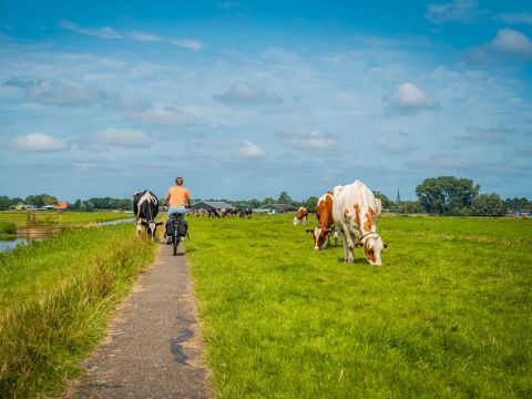 MarinaPark Beach Resort Soal - Súdwest-Fryslân - Afbeelding N°26