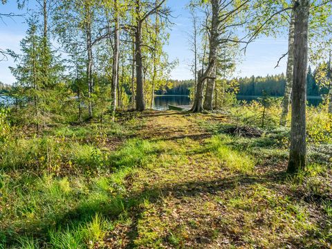 Vaikko Riverside Resort - North Karelia - Afbeelding N°8