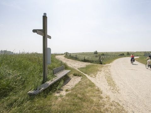 Kustpark Nieuwpoort - West-Vlaanderen - Afbeelding N°24