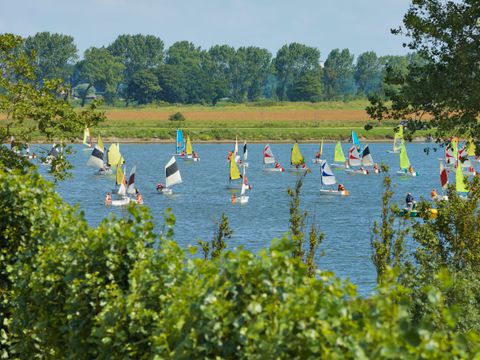 Kustpark Nieuwpoort - West-Vlaanderen - Afbeelding N°27