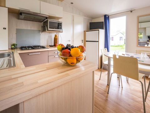 Ardennen Camping Bertrix - Belgisch-Luxemburg - Afbeelding N°5