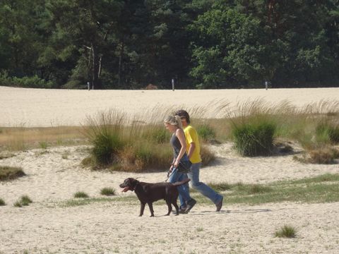 Recreatiepark Duinhoeve - Tilburg - Afbeelding N°17