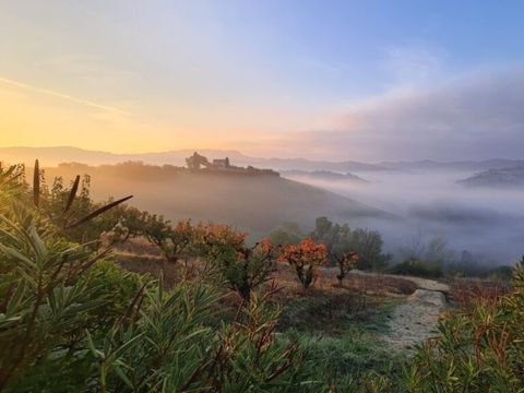 Vodatent Agricola la Casetta - Ascoli Piceno - Afbeelding N°5