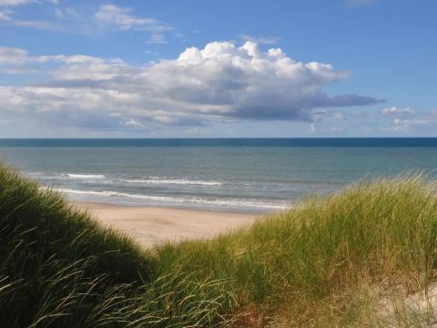 Vodatent Tornby Strand Camping - Noord-Jutland - Afbeelding N°2