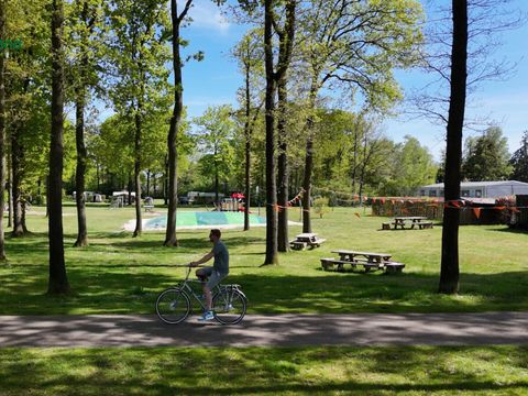 Vodatent Park Drentheland - Westerveld - Afbeelding N°3