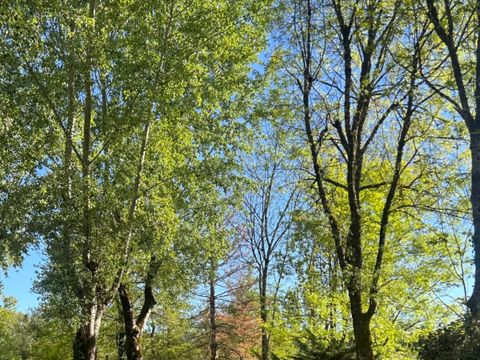 Vodatent Camping Les Rives de Courtes - Gers - Afbeelding N°5