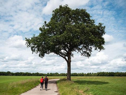 Landgoed de Huynen - Aa en Hunze - Afbeelding N°4