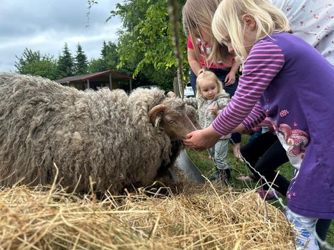Zomers Buiten - Pekela - Afbeelding N°0