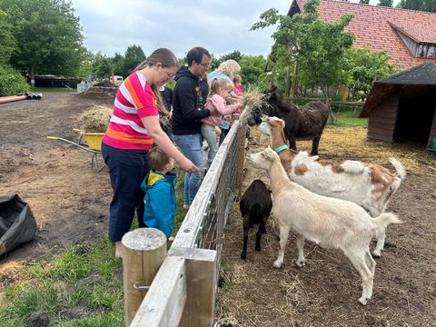 Zomers Buiten - Pekela - Afbeelding N°2