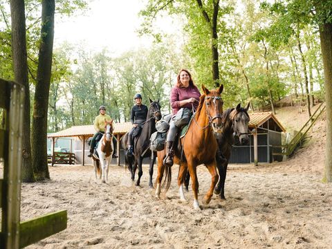 Vakantiepark Sandberghe - Uden - Afbeelding N°7