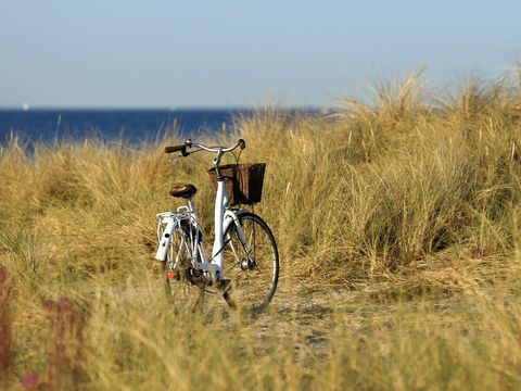 Waterhuisjes Uitgeest - Uitgeest - Afbeelding N°18