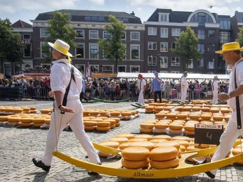 Waterhuisjes Uitgeest - Uitgeest - Afbeelding N°23