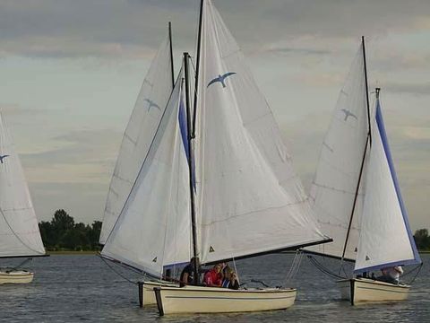 Waterhuisjes Uitgeest - Uitgeest - Afbeelding N°13