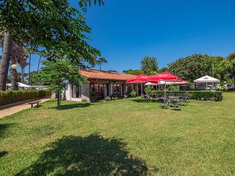Camping Angeiras - Noord-portugal