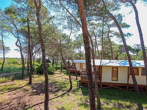 Camping La Tamarissière - Hérault - Afbeelding N°4