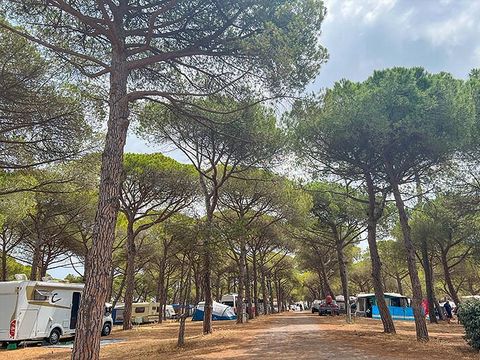 Camping La Tamarissière - Hérault - Afbeelding N°5