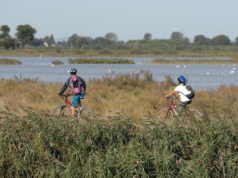 Camping Crin Blanc - Bouches-du-Rhône