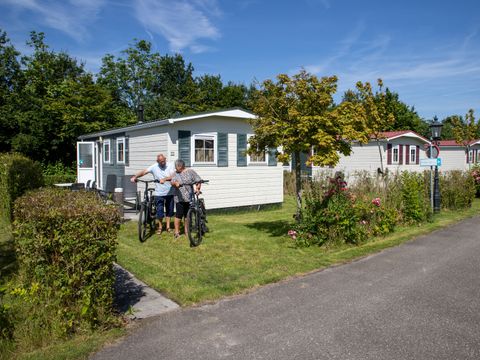 Camping Scheldeoord - Camping Borsele - Afbeelding N°4