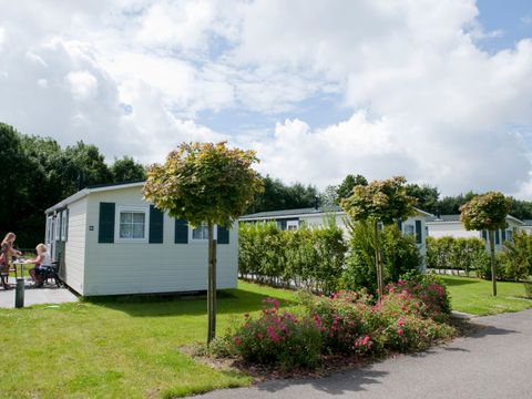 Camping Scheldeoord - Camping Borsele - Afbeelding N°5