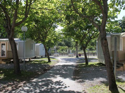 Camping Siblu La pointe - Funpass inclus - Landes - Afbeelding N°5