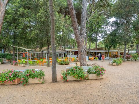 Camping Etruria - Livorno