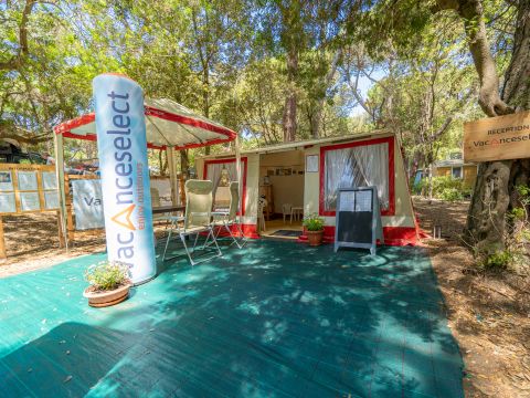 Camping Etruria - Livorno