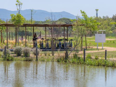 Camping Etruria - Livorno