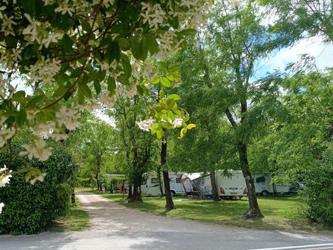 Camping La Digue - Ardèche - Afbeelding N°3