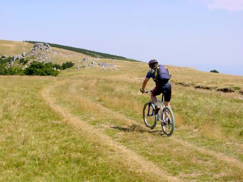 Camping La Digue - Ardèche