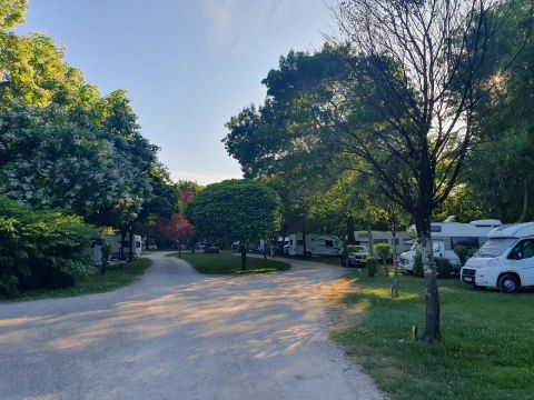 Camping Du Pasquier - Jura - Afbeelding N°4