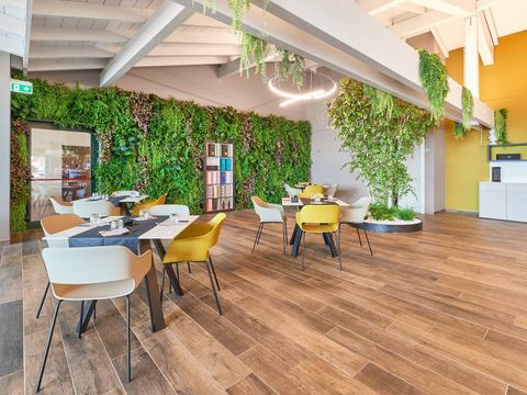 Camping Isolino - Verbano-Cusio-Ossola