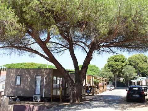 Camping Tikayan le Méditerranée - Var - Afbeelding N°3