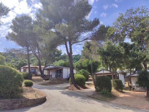 Camping Versants (anciennement Parc des Chênes) - Var - Afbeelding N°3