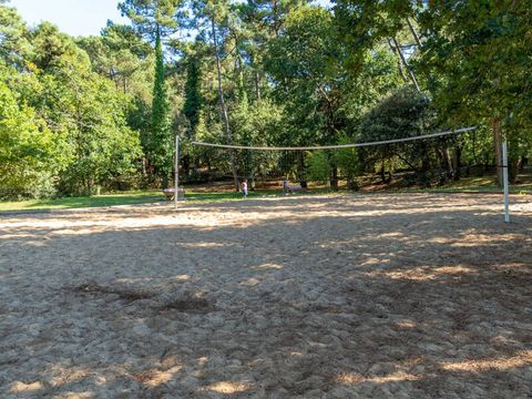 Camping Palmyre Loisirs  - Charente-Maritime