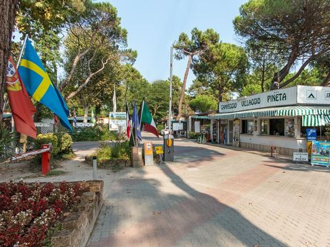 Pineta Family Camping Village - Ravenna