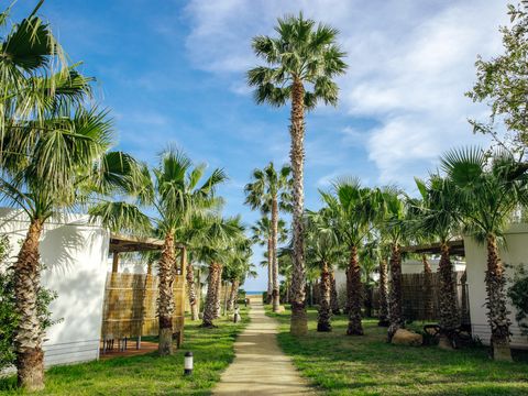 Camping Alannia Els Prats - Tarragona - Afbeelding N°2