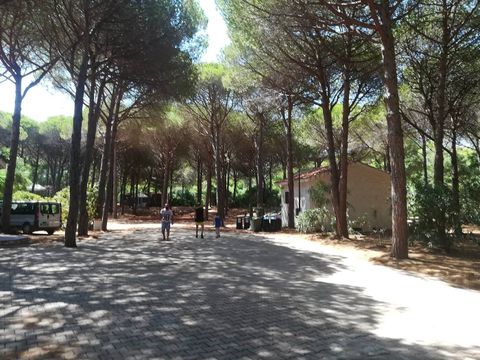 Camping Bella Sardinia - Oristano