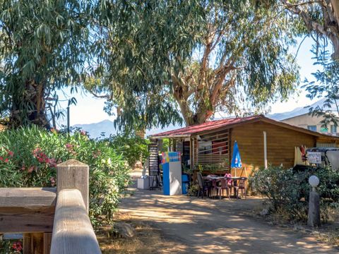 Camping U pezzo - Noord-corsica - Afbeelding N°3