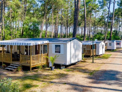 Camping Siblu Les Dunes De Contis - Funpass inclus - Landes - Afbeelding N°3