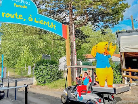 Camping Paradis les Pins - Royan - Charente-Maritime