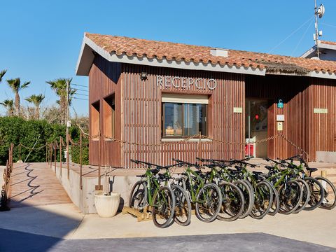 TAIGA Delta de L’Ebre - Tarragona - Afbeelding N°4